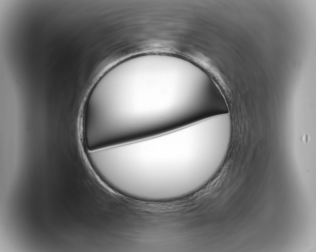 X0000099231383200804241220
