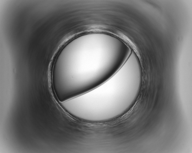 X0000099231384200804241220