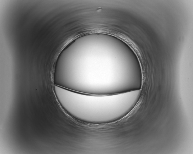 X0000099231385200804241220
