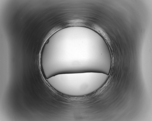 X0000099231386200804241220