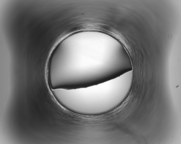 X0000099231387200804241220
