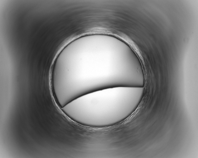 X0000099231390200804241220
