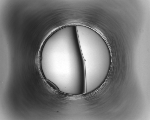 X0000099231392200804241220