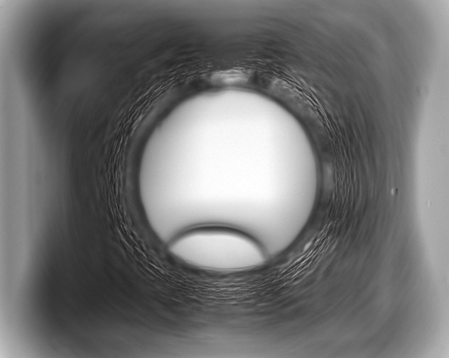 X0000099231393200804241219
