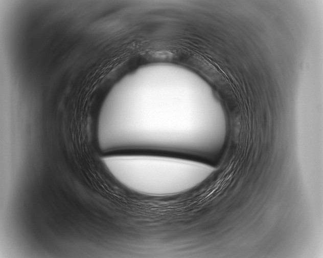 X0000099231394200804241219