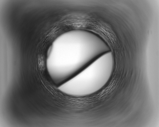 X0000099231396200804241219