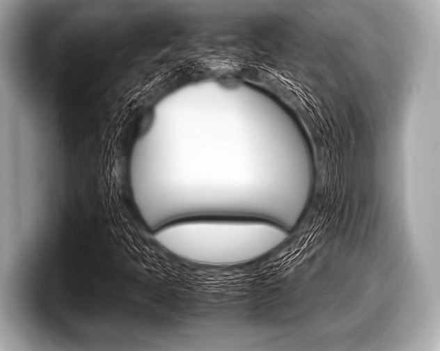 X0000099231397200804241219