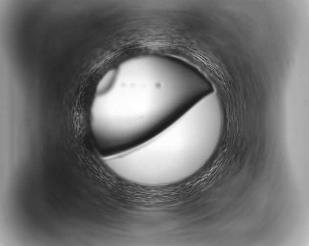 X0000099231398200804241219