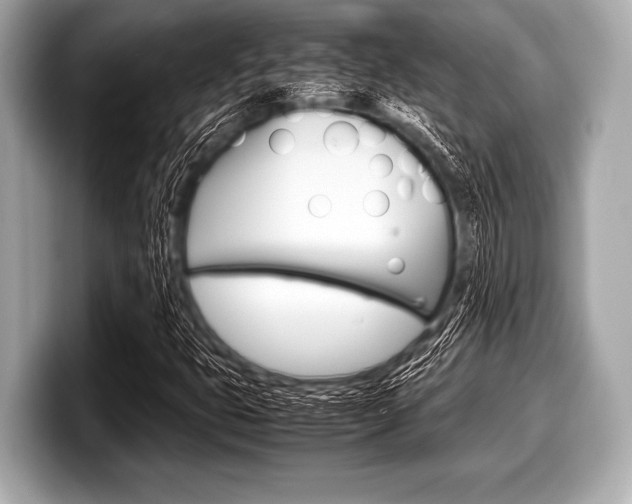 X0000099231399200804241219