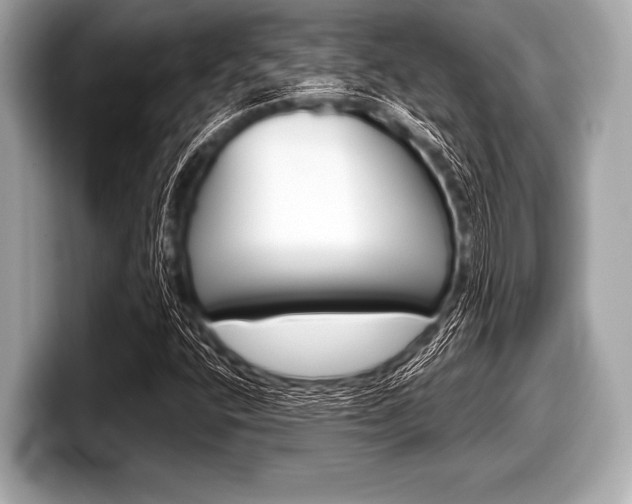 X0000099231400200804241219