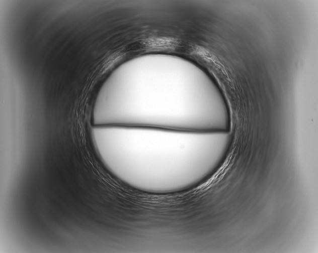 X0000099231401200804241219