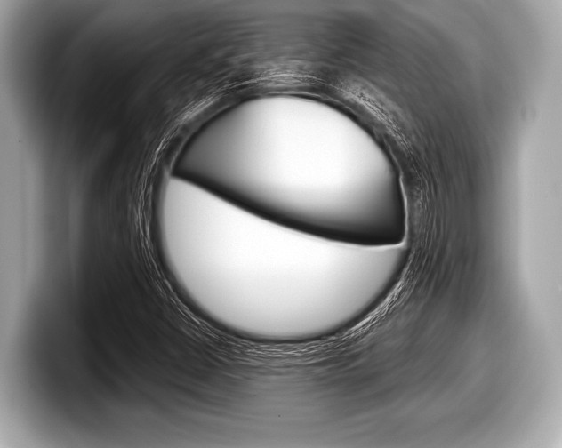 X0000099231402200804241219