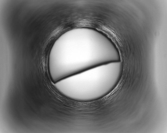 X0000099231403200804241219