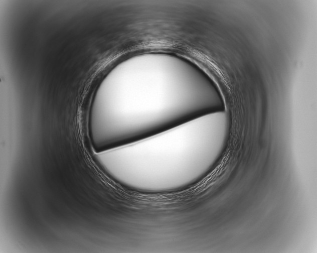 X0000099231404200804241219