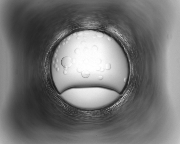X0000099231405200804241219