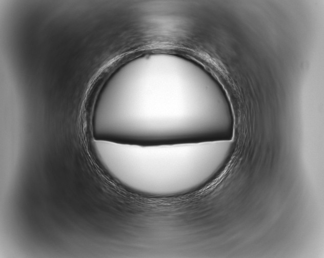 X0000099231406200804241220