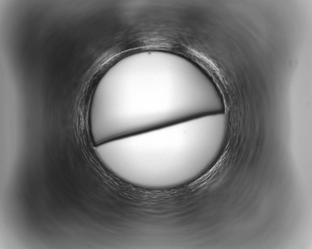 X0000099231407200804241220