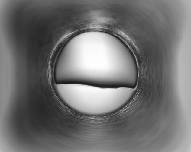 X0000099231408200804241220