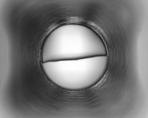 X0000099231409200804241220