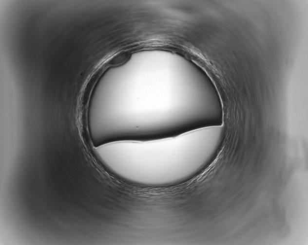 X0000099231410200804241220
