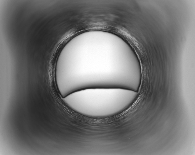 X0000099231411200804241220