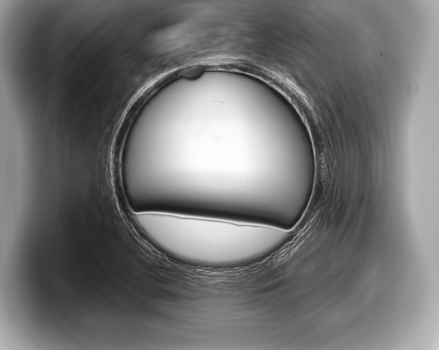X0000099231412200804241220