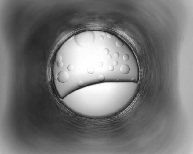 X0000099231413200804241220