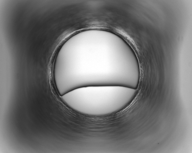 X0000099231415200804241220