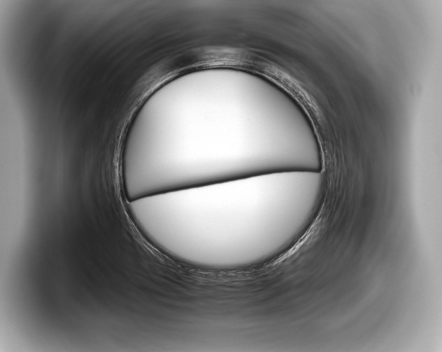 X0000099231417200804241220