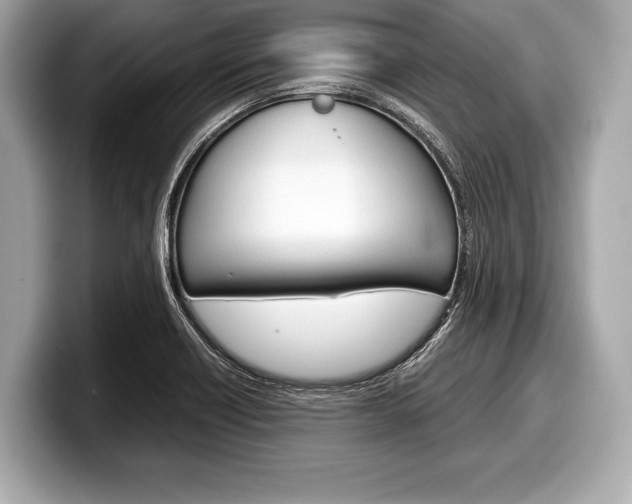 X0000099231418200804241220