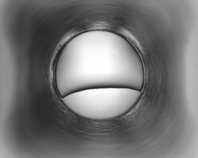X0000099231419200804241220