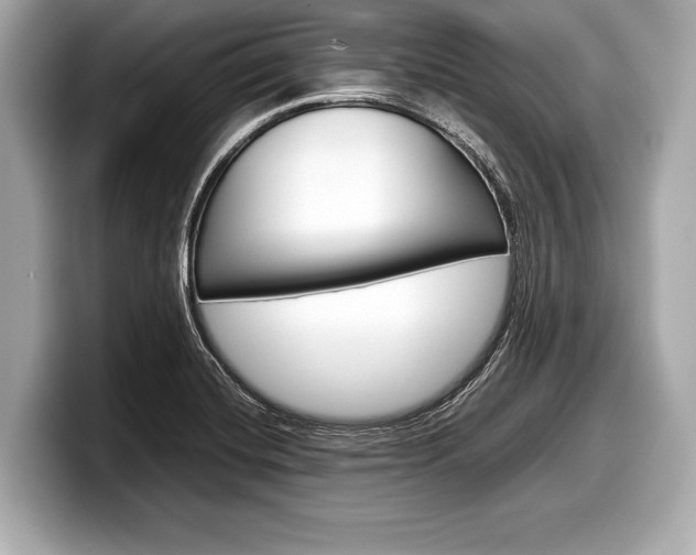 X0000099231420200804241220