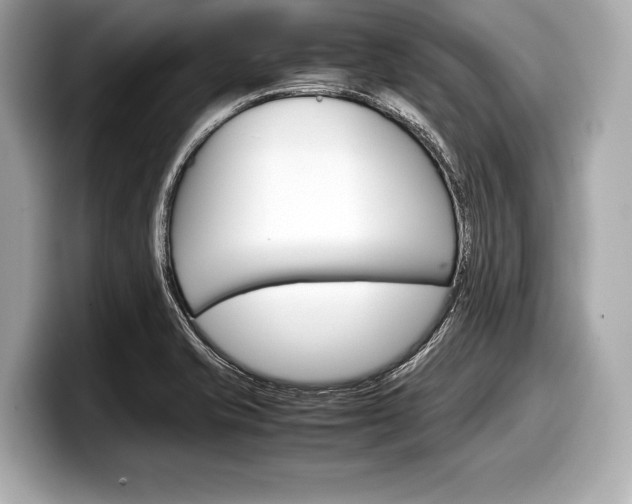 X0000099231421200804241220