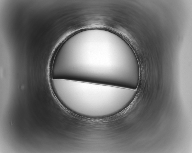 X0000099231422200804241220