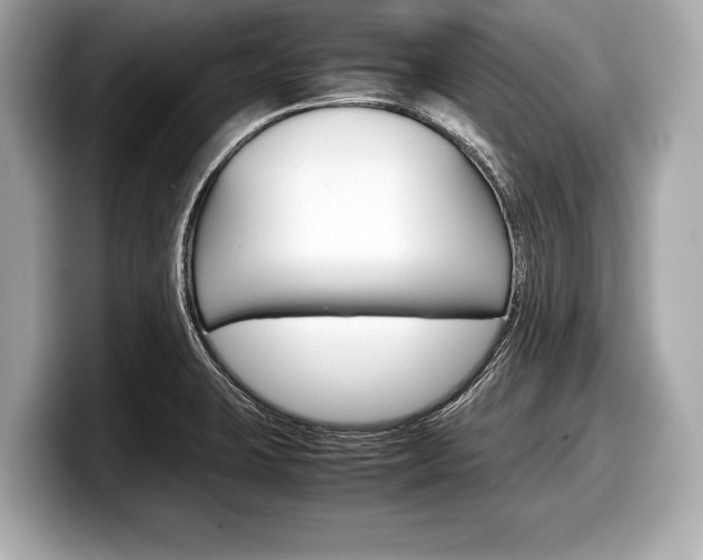 X0000099231423200804241220