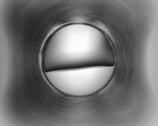 X0000099231424200804241220