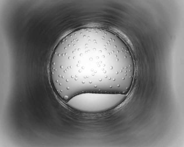 X0000099231425200804241220