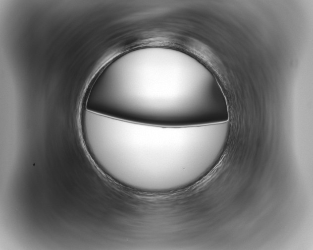 X0000099231426200804241220