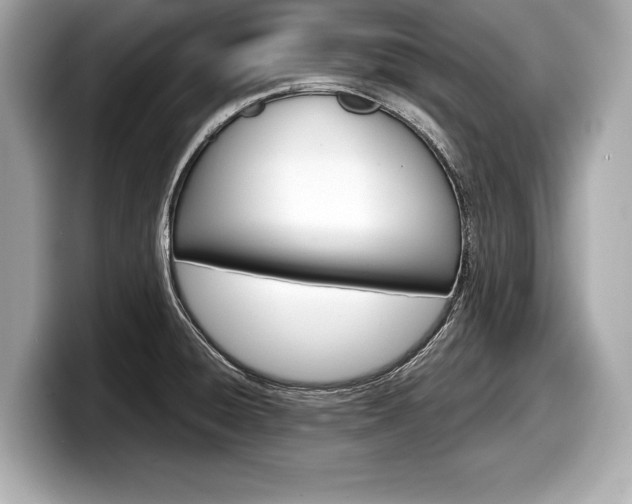 X0000099231428200804241220