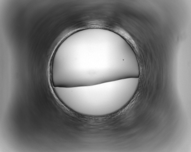 X0000099231431200804241220