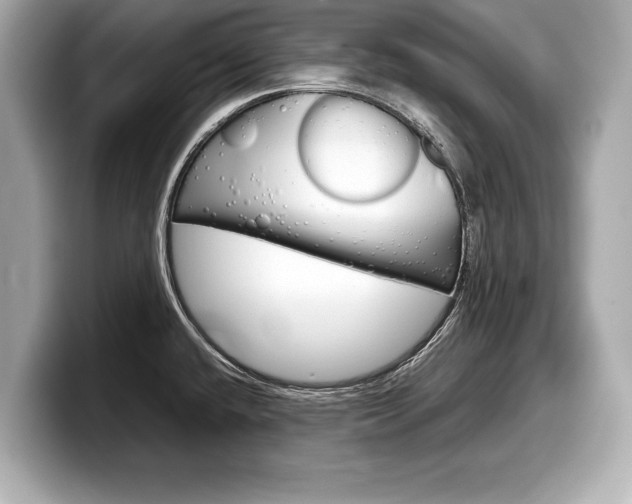 X0000099231432200804241220