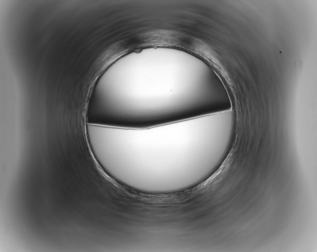 X0000099231433200804241220