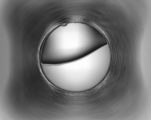 X0000099231434200804241220