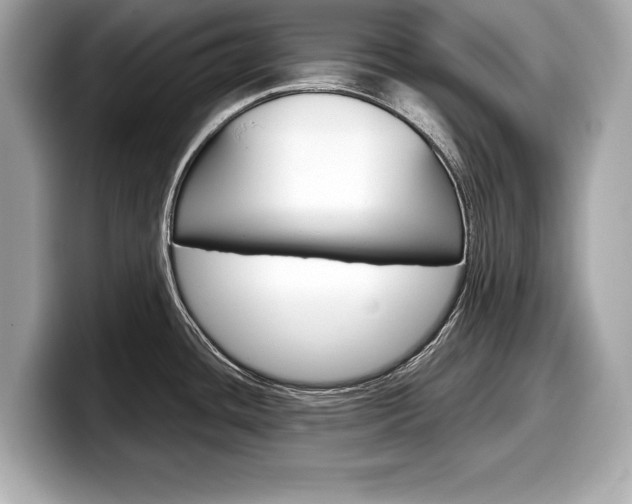 X0000099231436200804241220