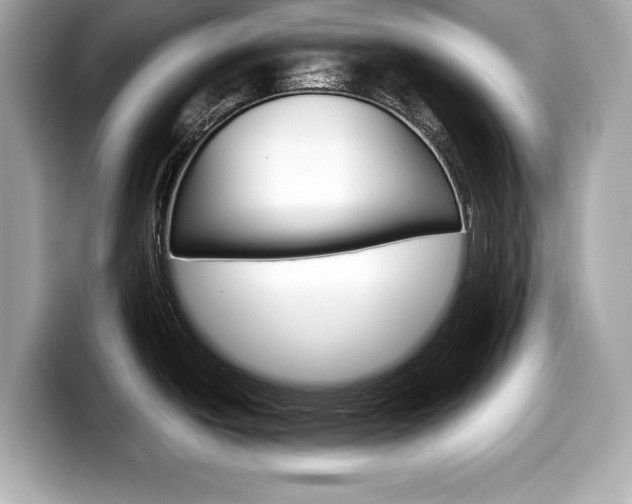 X0000099231438200804241220