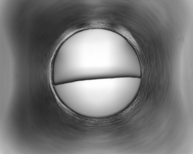 X0000099231439200804241220