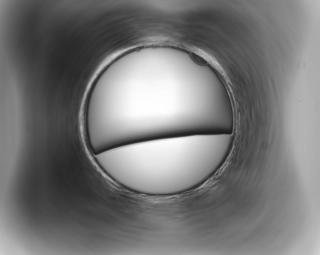 X0000099231440200804241220