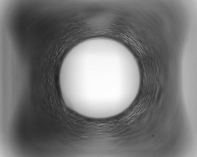 X0000099231441200804241219