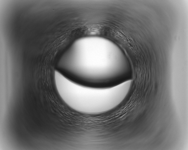 X0000099231442200804241219