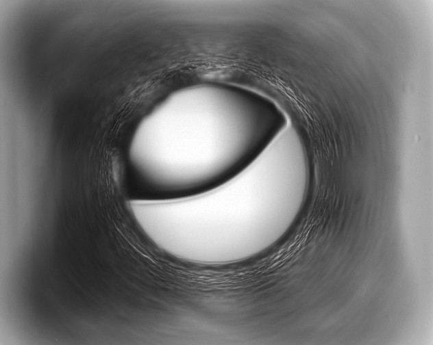 X0000099231444200804241219